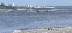 Какая ситуация с водоснабжением в Запорожье и области на 13 июня