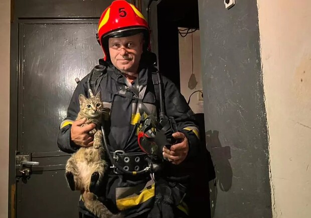 В Днепре из горящей квартиры спасли котика - 