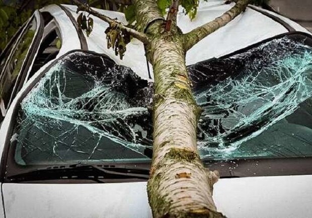 Чи можна отримали у Дніпрі компенсацію, якщо на авто впало дерево або дорожній знак - 