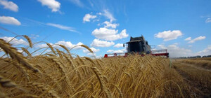 В Одесской области стартовал сбор урожая