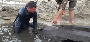 В Запорожье обнаружили лодку, которой может быть более тысячи лет