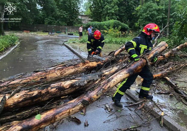 В Днепропетровской области из-за непогоды попадали деревья 