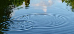 В Харькове и области за неделю утонули четыре человека, один из них — у себя во дворе