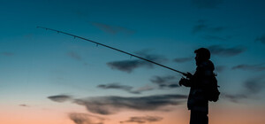 В Черном море обновили правила промышленного рыболовства: что это значит