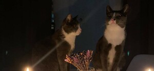 В Днепре отключат свет: адреса