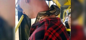 В київському автобусі пасажир перевозив пітона на шиї