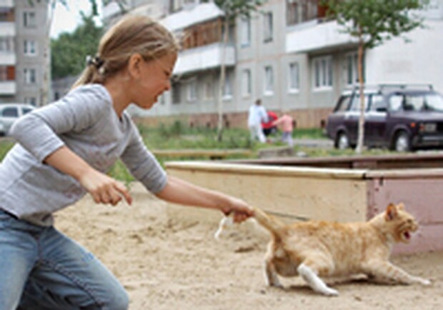 В Днепропетровской области девушка снимает на видео свои издевательства над домашними животными - 