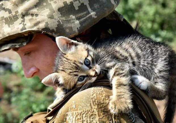 Військовий приїхав з Донецька до Павлограду, аби врятувати тварин - 