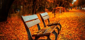 Вместо домов на Никольской Слободке должен появиться сквер