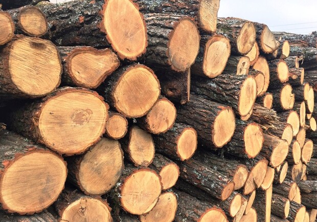 В Днепропетровской области заключенный продавал несуществующие дрова - 