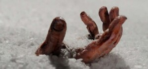 Официально: сколько людей погибли и пострадали во время шторма в Одессе