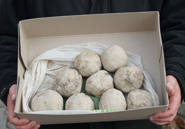 В Никопольском районе на дне водохранилища обнаружили артефакты времен казаков, 