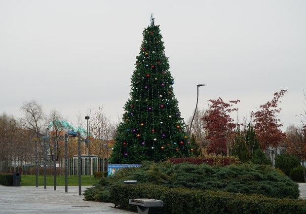 Украшенная иллюминацией: в Днепре коммунальщики установили рождественскую елку 