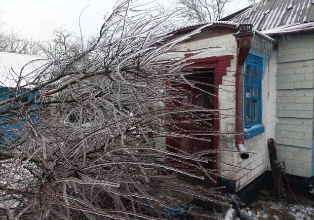 У Межівській громаді на будинок 83-річної жінки впало обледеніле дерево - 
