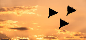 Скільки безпілотників збили наші захисники цієї ночі у Дніпропетровській області