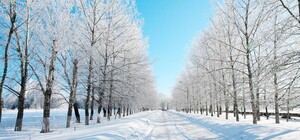 Пункти незламності в Київській області починають працювати цілодобово