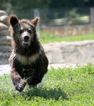 Названо найпопулярніші туристичні об'єкти Львівської області за пів року 
