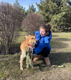 Приют для собак в Запорожье: как прийти погулять с псом или взять его под опеку