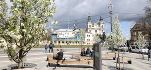 Для мешканців і гостей Львова створили карту з квітковими локаціями міста