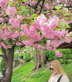 Місто весни: на період цвітіння у Львові підготували програму з концертами, ярмарками та екскурсіями 