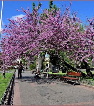 Концерты Юлии Саниной и 