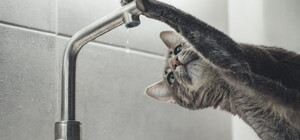 Відключення води боржникам у Дніпрі: коли та чи можна уникнути 