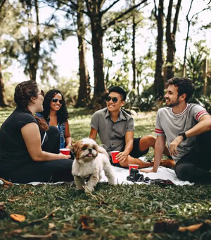 Диван подождет: чем заняться в Запорожье в пятницу вечером и на выходных