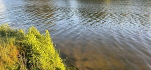 На Журавлевке утонула 12-летняя девочка