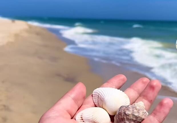 Несмотря на опасность в одесской Затоке и на 