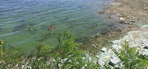 В Днепропетровской области мелеют реки: что произошло