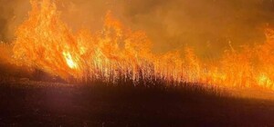 В воздухе более 11 тысяч тонн СО2: экологи рассказали о последствиях смрада в Одессе