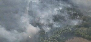 Масштабна пожежа: під Балаклією третій день горить ліс