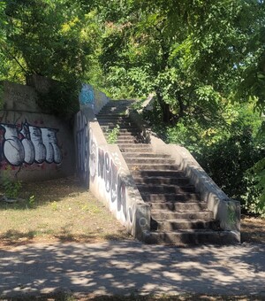 Военный спуск в Одессе без сфинксов: куда пропали скульптуры котов и как без них выглядит лестница