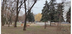 В Одессе началось строительство бювета, но пострадают зеленые насаждения