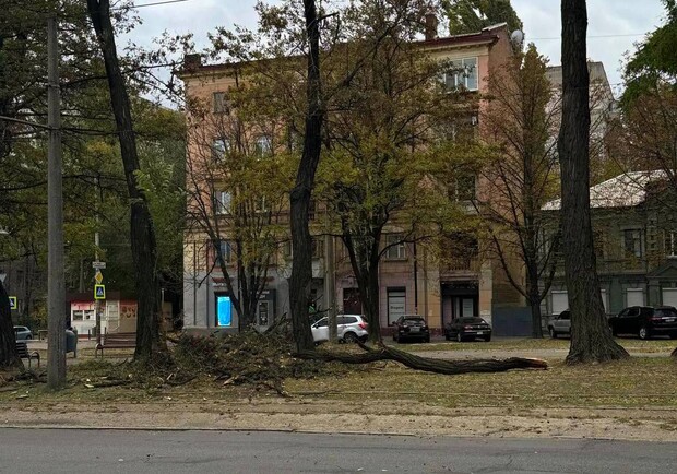 Негода у Дніпрі: буревій знищив зупинки та пошкодив авто 