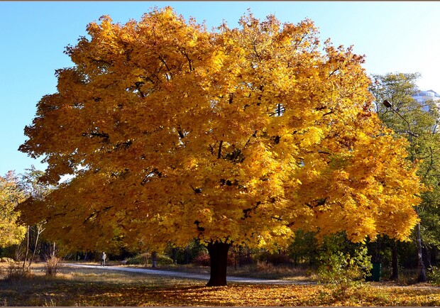 Майстер-клас з бісероплетіння та концерт Лілу45: куди піти в Одесі на цих вихідних