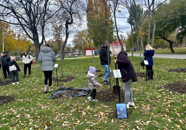 На Аллее защитников в Днепре взорвали деревья с QR-кодами 