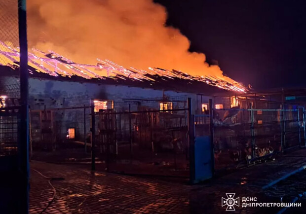 У Дніпропетровській області вналідок пожежі згоріло більше 100 тварин - 