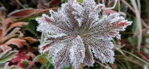 Зустрічаємо зиму: яка погода буде в Одесі цими вихідними