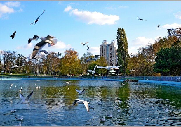 Куди піти в Одесі безкоштовно цього тижня