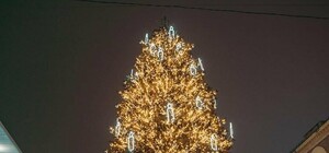 У Дніпрі встановлять новорічні ялинки у міських парках: де саме