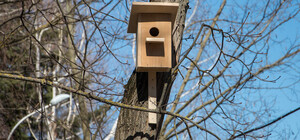 Львів'янин втрапив у фотопастку під час викидання сміття біля дороги 