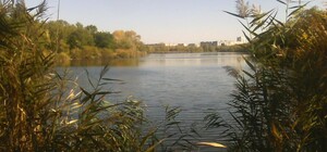 Активісти виграли суд проти міськради Дніпра щодо прибережної захисної смуги