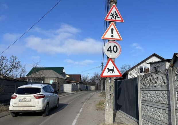 Обережно, кіт: у Дніпрі встановили незвичайний дорожній знак - 