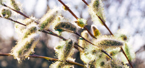 Пенсии, чеки, цены на лекарства: что изменится в Украине с 1 марта