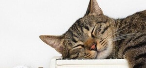 Стало известно, когда в Запорожье завершится отопительный сезон