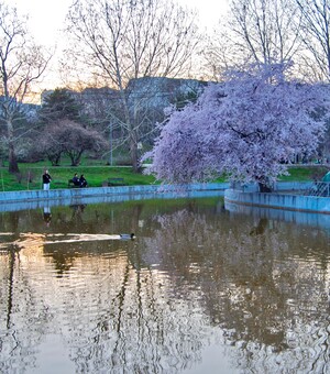 Ілюзіон-шоу та вечір Леся Подерв'янського: куди піти в Одесі цими вихідними