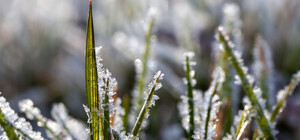 У Запоріжжі прогнозують суттєве похолодання: попереджають про заморозки