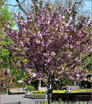 Концерт PARGENIUK та стендап Андрія Бережка: куди піти в Одесі в п'ятницю та цими вихідними
