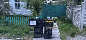 У Дніпрі з’явився мінібазар самообслуговування: чесність на вагу квітів